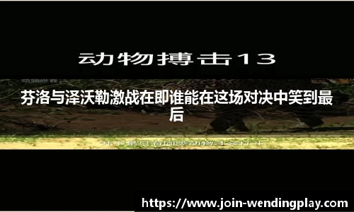 芬洛与泽沃勒激战在即谁能在这场对决中笑到最后